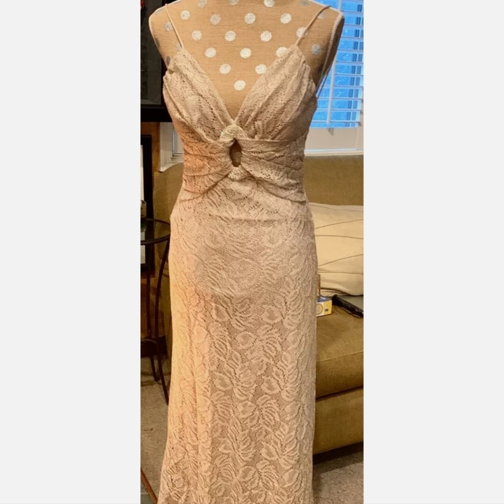 Bari Jay gown
